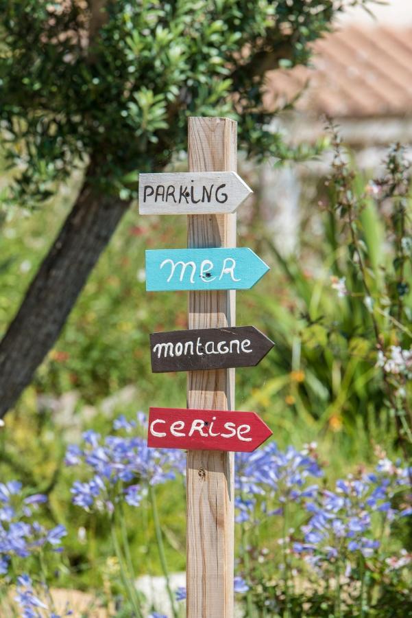Domaine Pedra Llampada Gite Cerise Villelongue-dels-Monts ภายนอก รูปภาพ