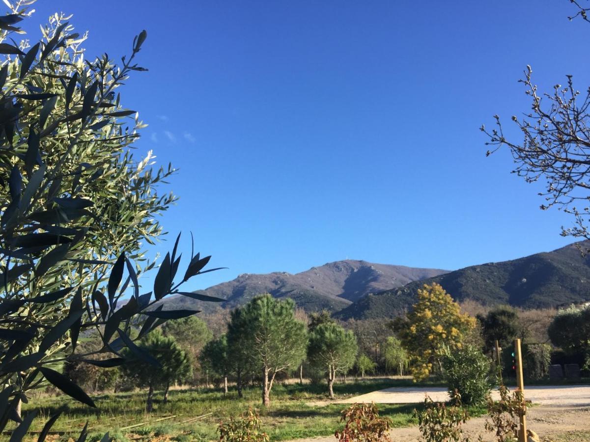 Domaine Pedra Llampada Gite Cerise Villelongue-dels-Monts ภายนอก รูปภาพ