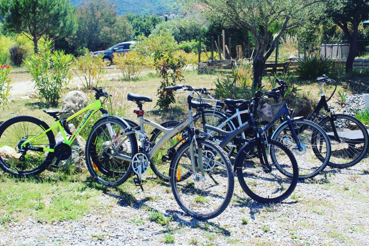 Domaine Pedra Llampada Gite Cerise Villelongue-dels-Monts ภายนอก รูปภาพ
